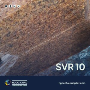 SVR 10