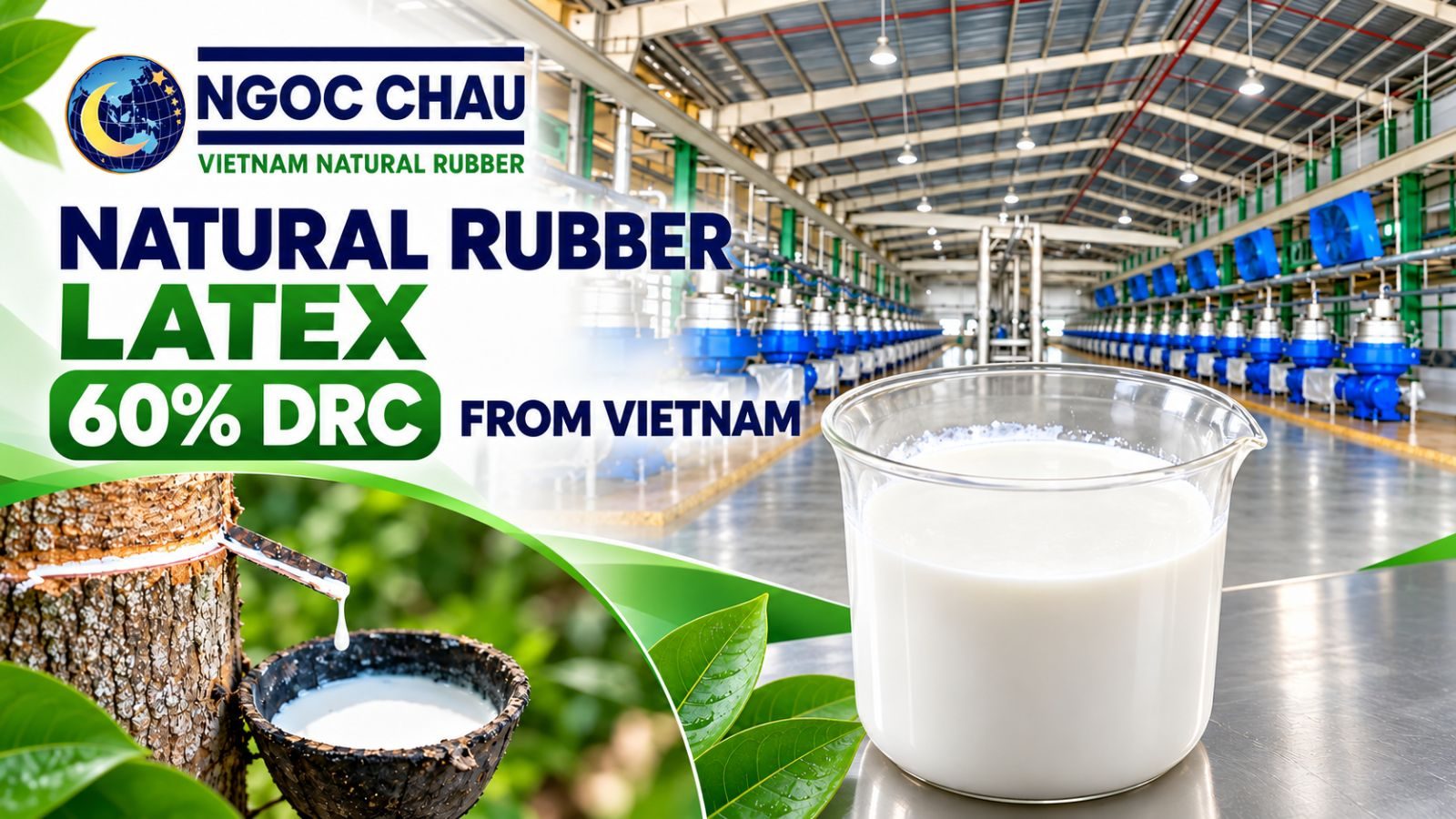 latex 60% DRC latex 60% DRC
