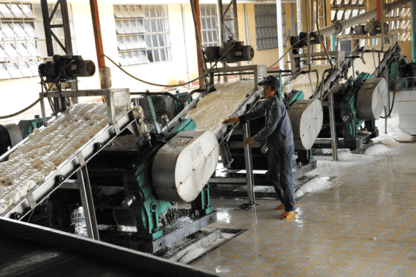 Overview Of Rubber Latex Processing