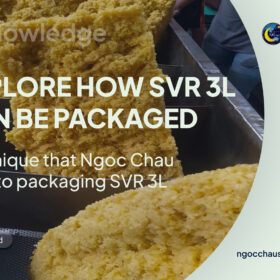 Packaging SVR 3L