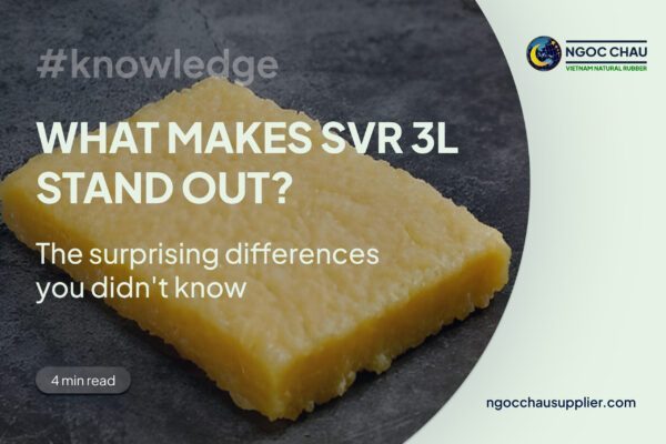 What makes SVR3L stand out?