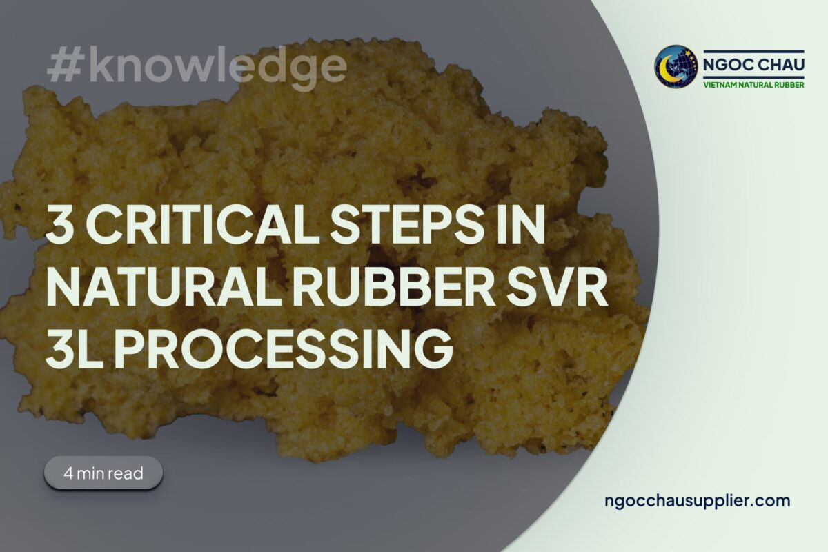 3 critical steps in natural SVR 3L processing