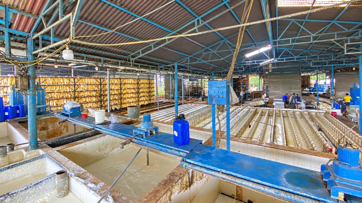 RSS 1 FACTORY - NGOC CHAU