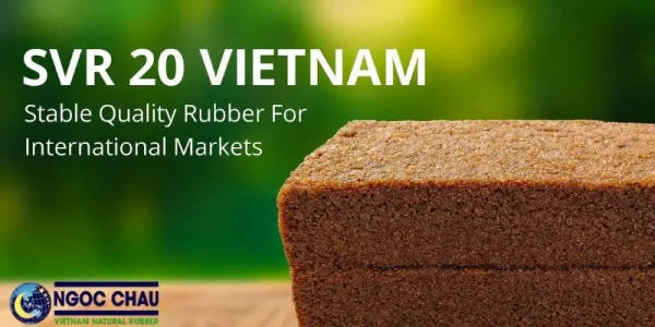 SVR 20 Vietnam – Stable Quality Rubber For International Markets