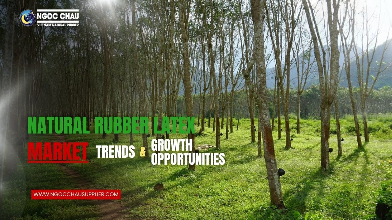 Natural Rubber Latex Market, Trends & Growth Opportunities