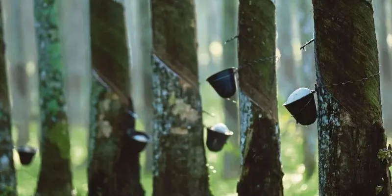 natural-rubber-latex-market (1)