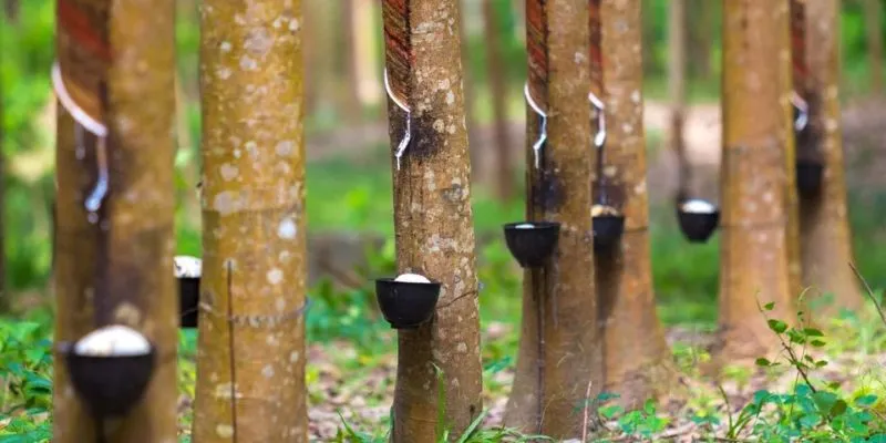 natural-rubber-latex-market (2)