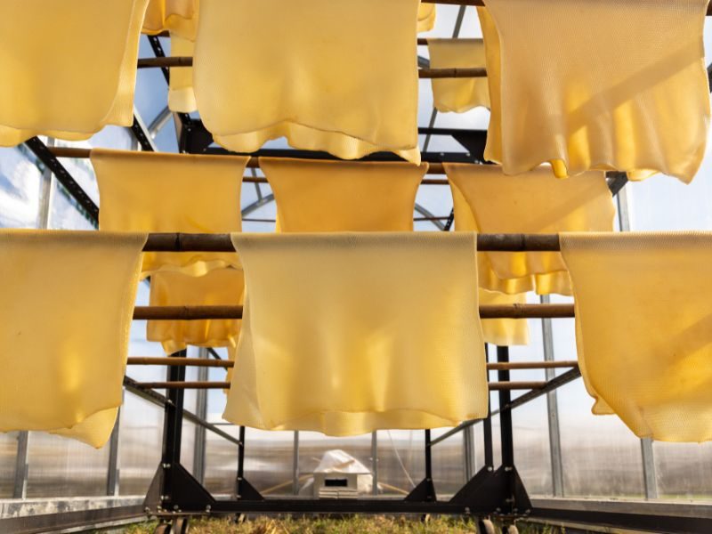 RSS 3 Rubber Production Process