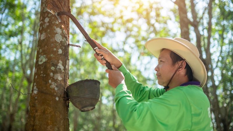 natural rubber